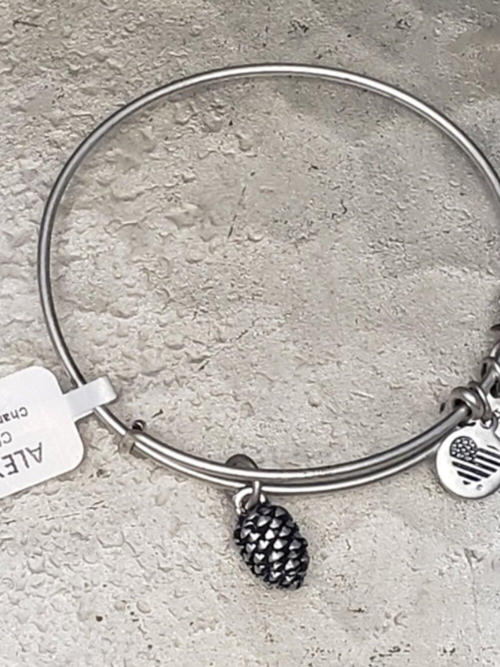 Alex & Ani NWT Silver Tone Pinecone Bracelet 648